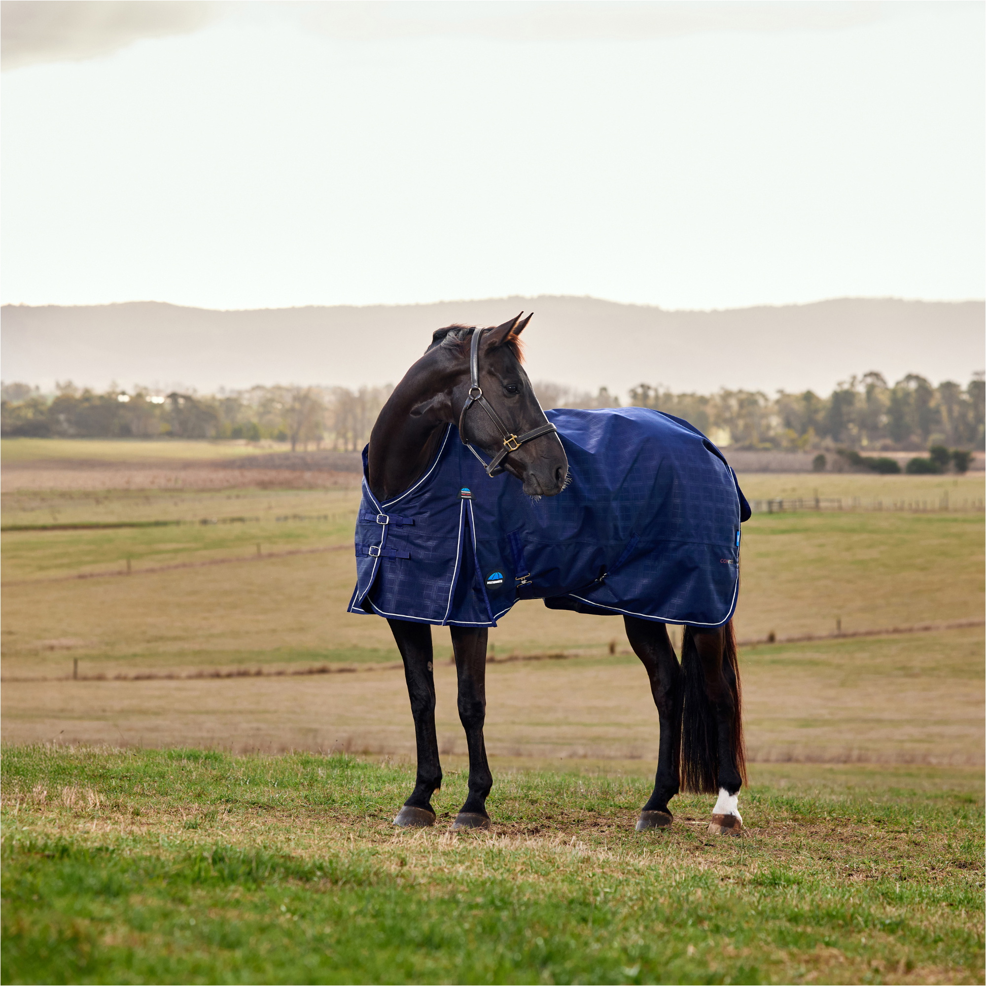 2026 WeatherBeeta Comfitec 0G Vorläufig Sich Herausstellen 1029033020 - Navy Embossed Plaid